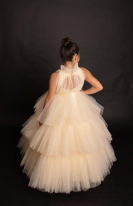 Swan Lake Dress